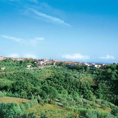 Il Felciaione-20 By Interhome *