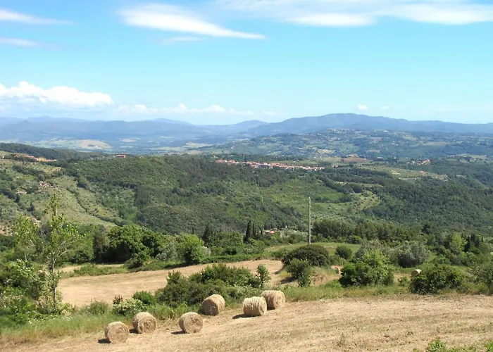 Il Felciaione-20 By Interhome Lejlighed *